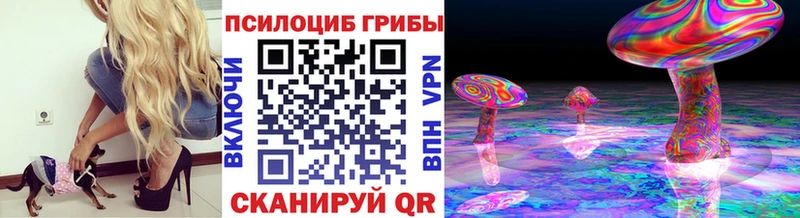 Псилоцибиновые грибы мухоморы  Купить закладки  Никольск 
